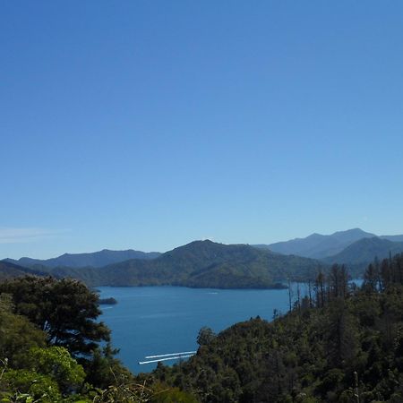 Sequoia Lodge Backpackers Picton Buitenkant foto