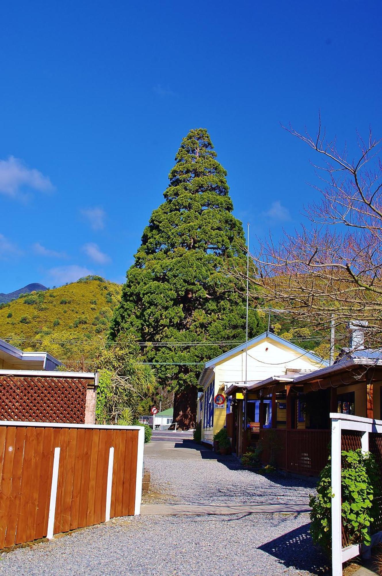 Sequoia Lodge Backpackers Picton Buitenkant foto