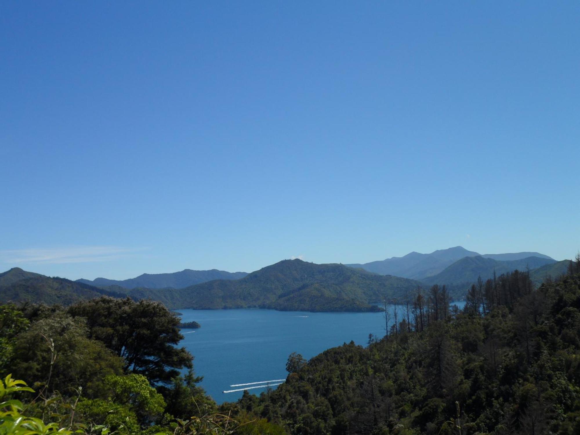 Sequoia Lodge Backpackers Picton Buitenkant foto
